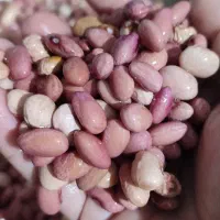 آش شیرازی|خوردنی و آشامیدنی|قم, پردیسان|دیوار