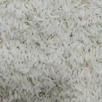 برنج طارم هاشمی قیمت مناسب|خوردنی و آشامیدنی|قم, یخچال قاضی|دیوار