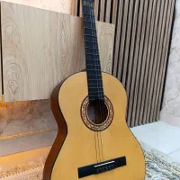 گیتار پارسی مدلm2
