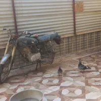 موتورهندامدل۸۴ معاوضه باهرچی