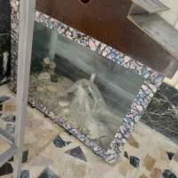 آکواریوم|ماهی|شاهین‌شهر, گرگاب|دیوار