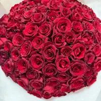 دسته گل رز قرمز ۱۰۰ تایی