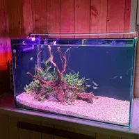 شیشه آکواریوم ریملس