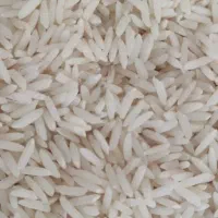 برنج طارم درجه یک عرضه از کشاورز