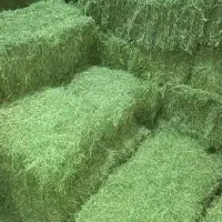 فروش پرس یونجه پر برگ