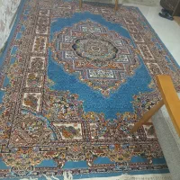 قالی|فرش|شیراز, کوشک میدان|دیوار