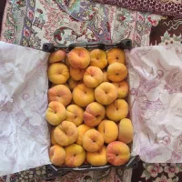 هلو انجیری زعفرانی تازه