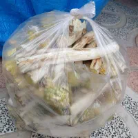 کنگر تازه و تمیز