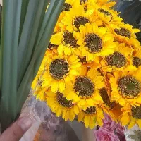 تشریفات عروسی رویال