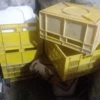 ۶تاسبدجاشیر