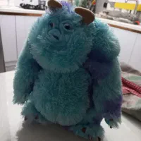 عروسک سالیوان|اسباببازی بچه|لاهیجان, شیشه گران|دیوار