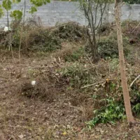 ۱۲۶ متر زمین مسکونی در عرفان(فاز دو گلسار)