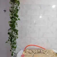 فروش گل