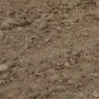 فروش زمین استانداری .هفتسنگان