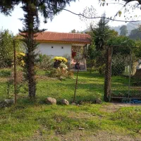 مزایده فروش خانه و زمین در غرب گیلان|فروش خانه و ویلا|حویق, |دیوار