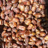 خرمای سعمران برای فروش۶۰هزارهرکیلو|خوردنی و آشامیدنی|تهران, امانیه|دیوار