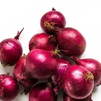 پیاز ریز و متوسط گاتی