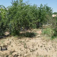 فروش باغ ۱۲۲۰ متری بهترین مسیر پل زمانخان|فروش زمین و ملک کلنگی|اصفهان, ملاصدرا|دیوار