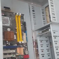 مادر برد سالم.