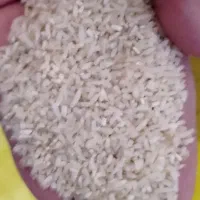 گردو وبرنج کلات|خوردنی و آشامیدنی|تربت‌حیدریه, نواب صفوی|دیوار