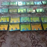 هولدر موبایل