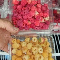 فروش میوه بلوبری و رزبری|خوردنی و آشامیدنی|تهران, ورزشگاه آزادی|دیوار
