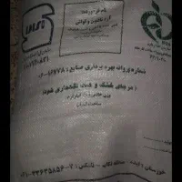 ارد مسجدسلیمان