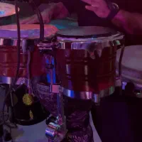 بینگو بانگو خوش صدا