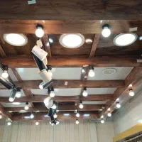 پنل چوبی سقف چراغ دار لاکچری|فروشگاه و مغازه|سبزوار, ابوریحان|دیوار