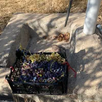 باغ شهر|فروش دفتر صنعتی، کشاورزی، تجاری|زنجان, |دیوار