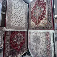 فرش قالیچه ۱۲۰۰ شانه (قیمت کارخانه در فرش نادر)|فرش|تبریز, |دیوار