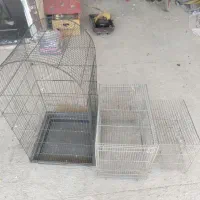 قفس