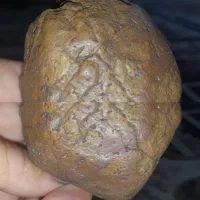 همه نوع شهابسنگ.