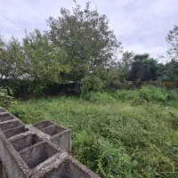 ۲۸۱متر زمین مسکونی سند تک برگ   محدوده ساحلی|فروش زمین و ملک کلنگی|خشکبیجار, |دیوار