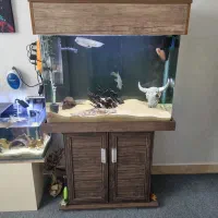 آکواریوم ۸۰ سانتی شیشه خم