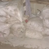 چقندر