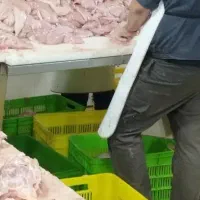 به تعدادی نیرو ساده و بیخص کار