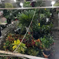 نیازمند همکار خانم جهت کار در گلستان یاس|استخدام خدمات فروشگاه و رستوران|قم, هفت تیر|دیوار