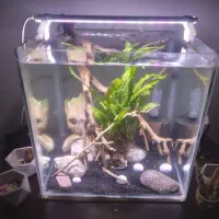 آکواریوم . ماهی . با تخفیف .معاوضه