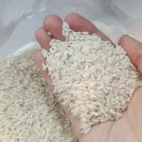 برنج صدری هاشمی|خوردنی و آشامیدنی|تهران, بهمن یار|دیوار