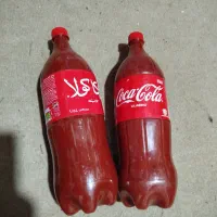 رب خونگی