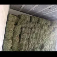 یونجه انباری درجه یک|عمده‌فروشی|دشتابی, |دیوار