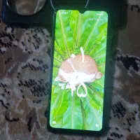 گوی شیائومیRedmi a3