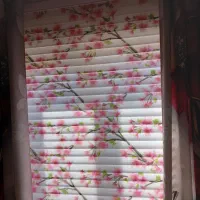 پرده پانچ وزبرا