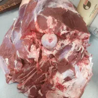 گوسفند زنده و گوشت تازه کلی و جزئی گلبهار نوبهار|حیوانات مزرعه|گلبهار, نوبهار|دیوار