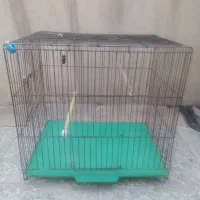 قفس سهره،قناری