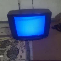 تلفزیون21|تلویزیون و پروژکتور|سلفچگان, |دیوار