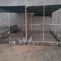 قفس|لوازم جانبی حیوانات|برازجان, |دیوار