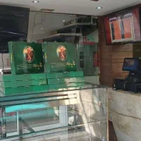 سالندار خانم