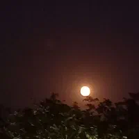 رسالت-علی-آباد-آپارتمان-و-مغازه-برق-سه-فاز